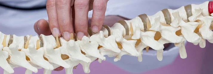 Chiropractic Woodbury MN Vertebral Subluxations Chiropractic Woodbury MN Vertebral Subluxations